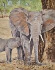 Elephant and baby
