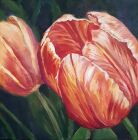 Tulip