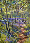 Path through the bluebells.