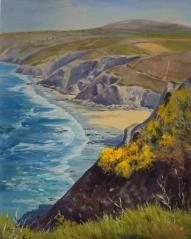 Gorse on the cliffs above Chapel Porth