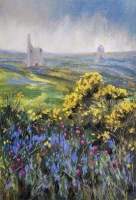 Pastel painting of Gorse and wildflowers at Botallack, Cornwall. Unframed.